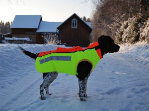 skyddsväst mot vildsvin